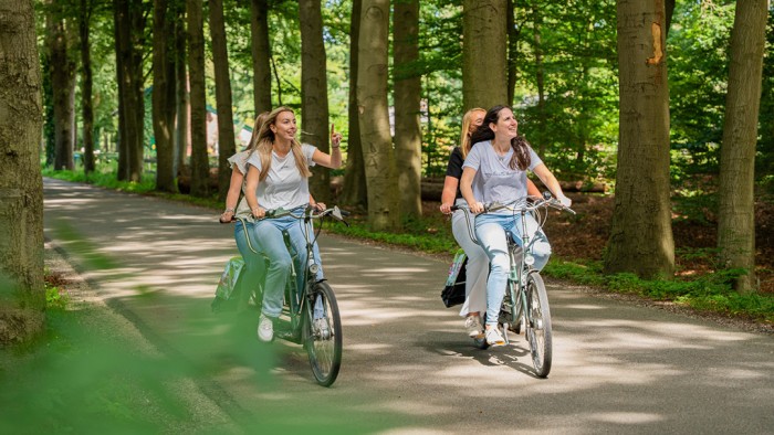 Tandem Rental